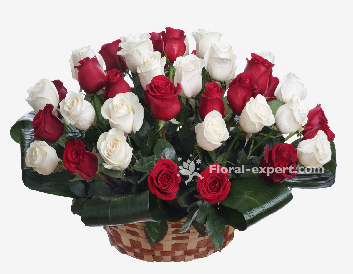 Panier de roses rouges et blanches